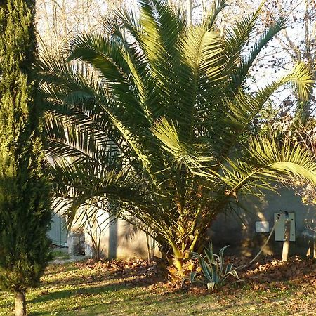 B&B Alle Terme Viterbo Zewnętrze zdjęcie