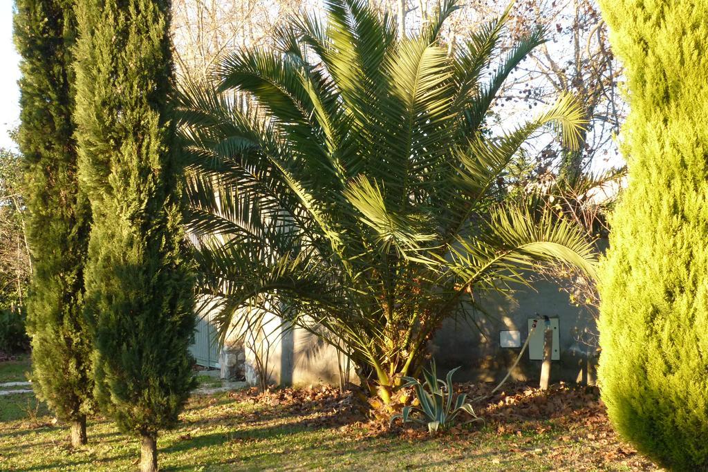 B&B Alle Terme Viterbo Zewnętrze zdjęcie