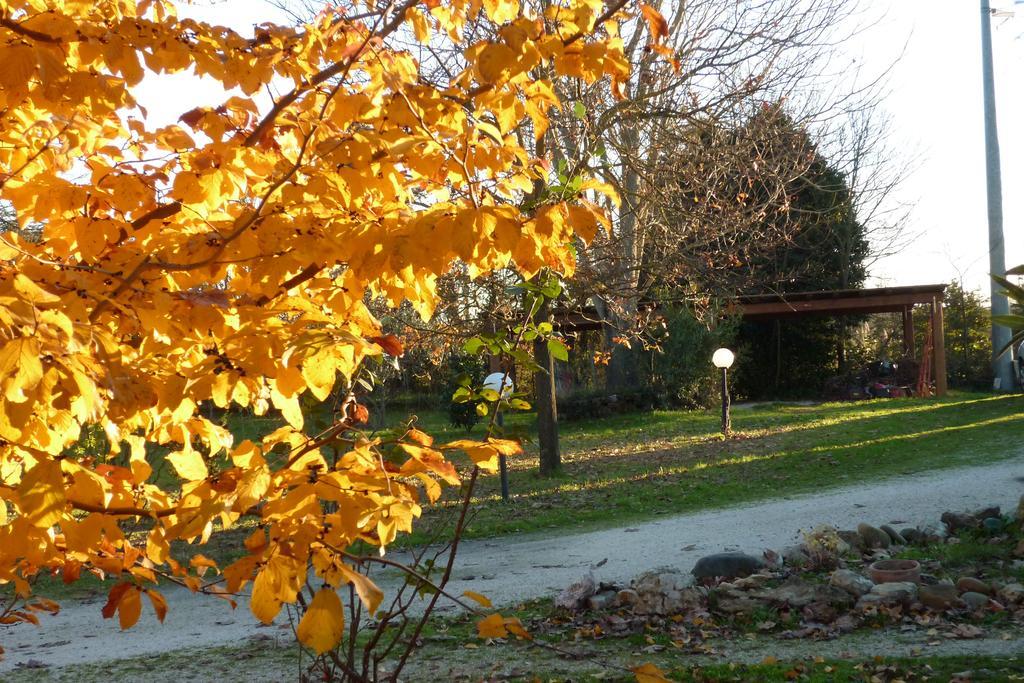 B&B Alle Terme Viterbo Zewnętrze zdjęcie