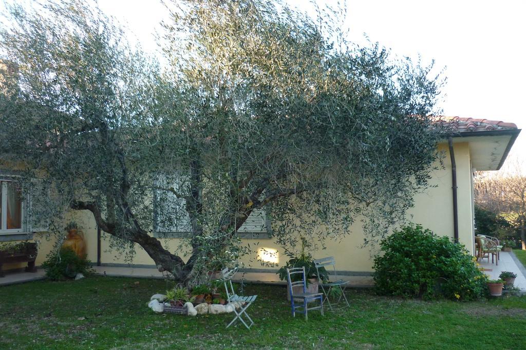 B&B Alle Terme Viterbo Zewnętrze zdjęcie